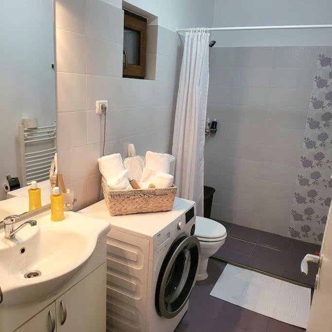 Apartament Individual La Casa Parter Apartment Timisoara Exterior photo