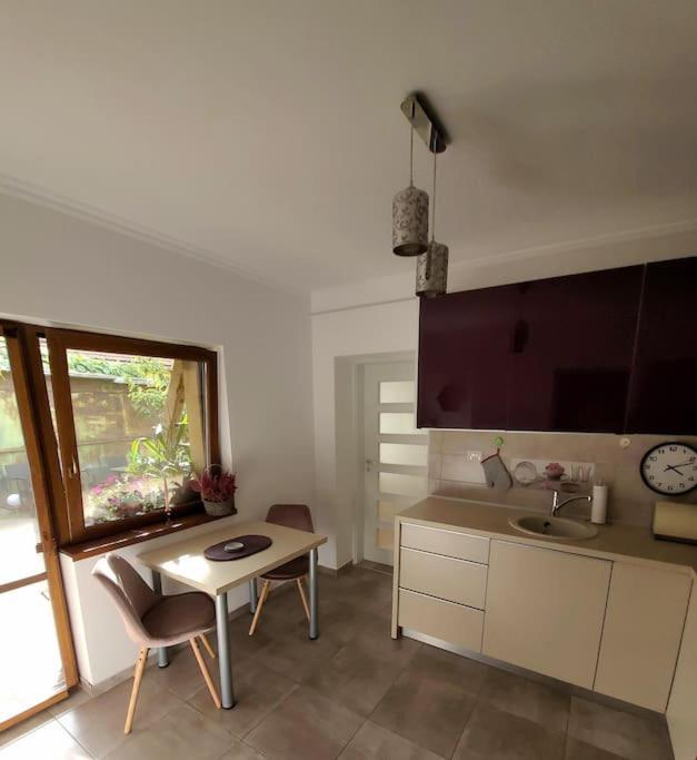 Apartament Individual La Casa Parter Apartment Timisoara Exterior photo